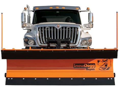 Buyers Snowdogg 36in trip edge steel municiple plow