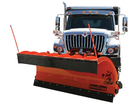 Buyers Snowdogg 42in TripEdge steel municiple plow