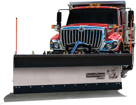 Buyers Snowdogg 42in full trip steel municiple plow